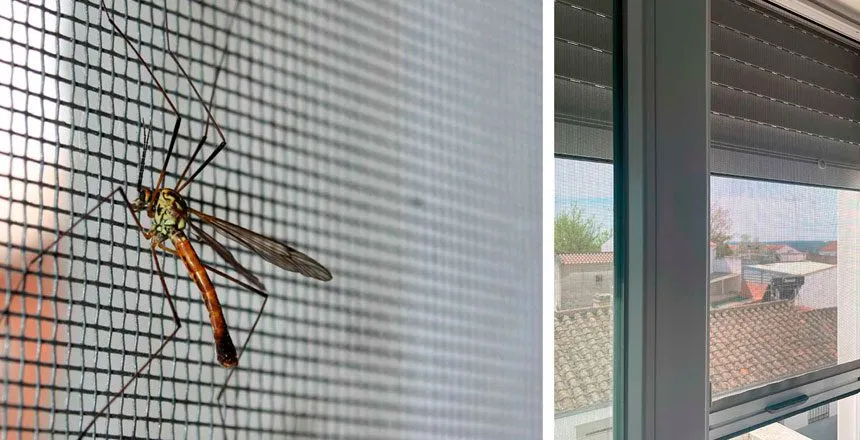 Mosquiteras